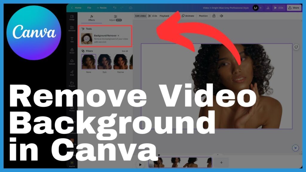 How To Remove Video Background In Canva