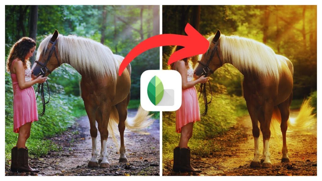 How to Create Golden Colour Effect in Snapseed | (iOS  Android)