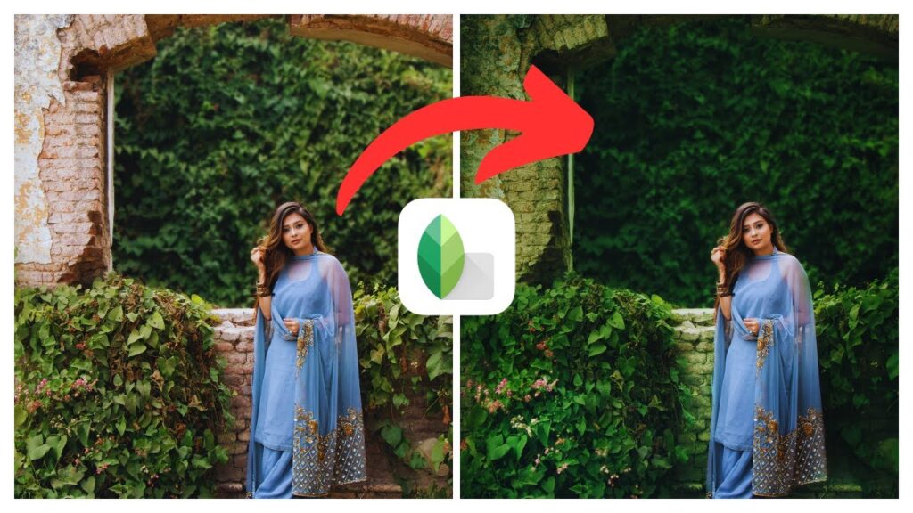 How to Create Realistic Green Tone in Snapseed | (iOS  Android)