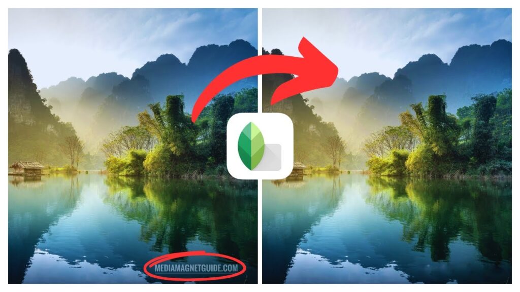 How to Remove Watermark in Snapseed | (iOS  Android)